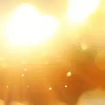 Santwell B19 Weighi…