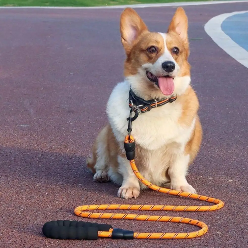 Strong Dog Leash with Padded Handle Reflective Pet Traction Rope 360° Rotating Daily Walk Dog Leash for Small to Medium Dogs