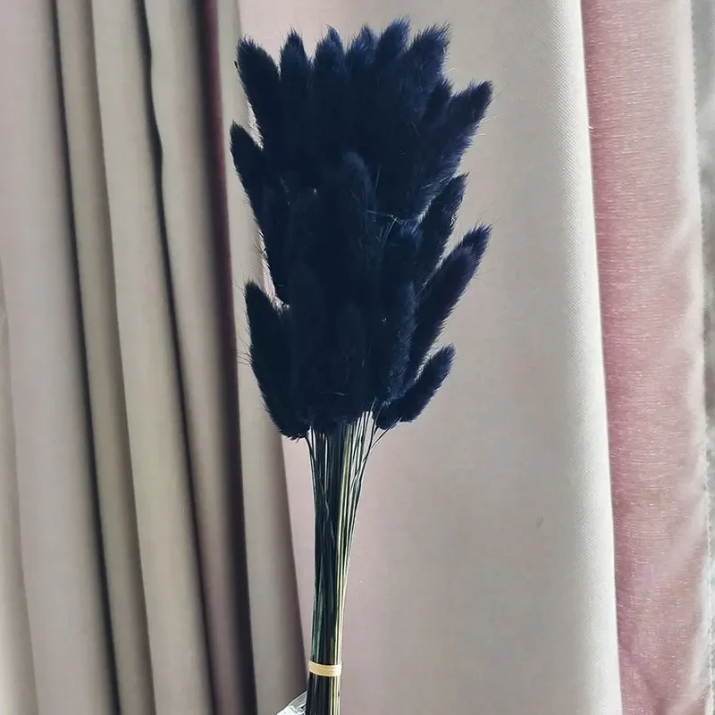 Variant: Black