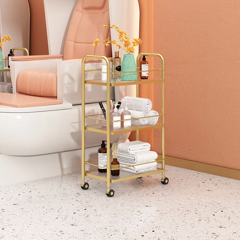 

Modern Salon Furniture Simple Iron Art Salon Trolleys Beauty Salon Multi-layer Tool Trolley Home Snack Storage Rack Nail Cart