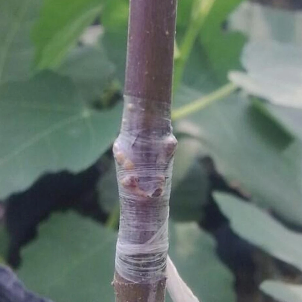 

2pcs Pe Grafting Tape Waterproof Self Adhesive Stretchable Plant Protection Film For Fruit Trees Citrus Avocado Pecans Walnuts