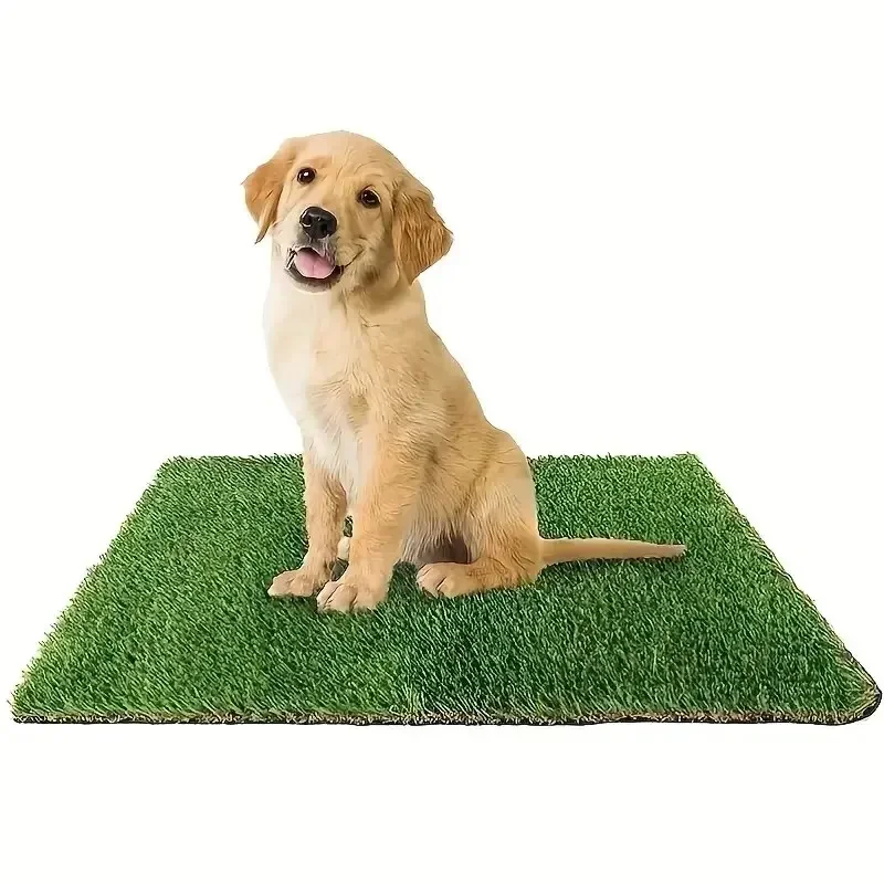 Wurfmatte: Die perfekte Lösung für Hunde- und Katzenbesitzer