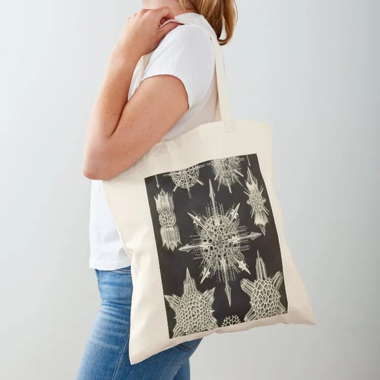 Plate 41. Acanthophracta, marine protozoans that typically have a lattice-work skeleton. Tote Bag