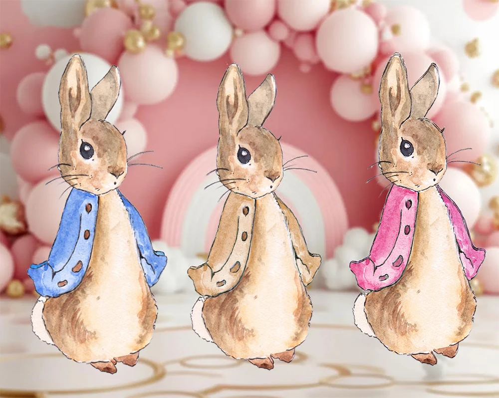 Peter Rabbit Kt Boa… - image