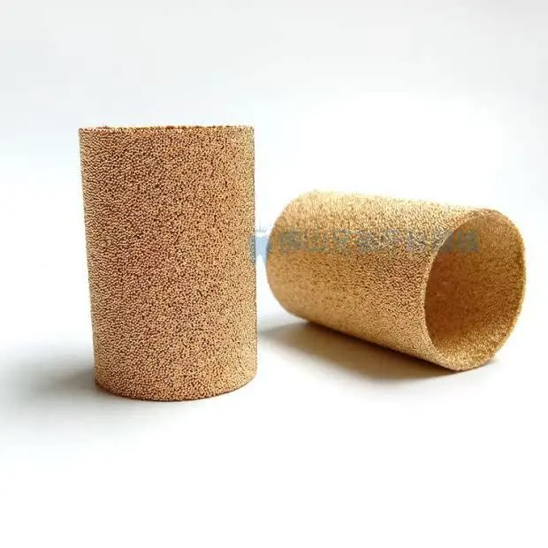 5PCS Dental Water Filter Cooper Core For Dental Chair Unit Water Filter Dental Product Equipment  SL1243