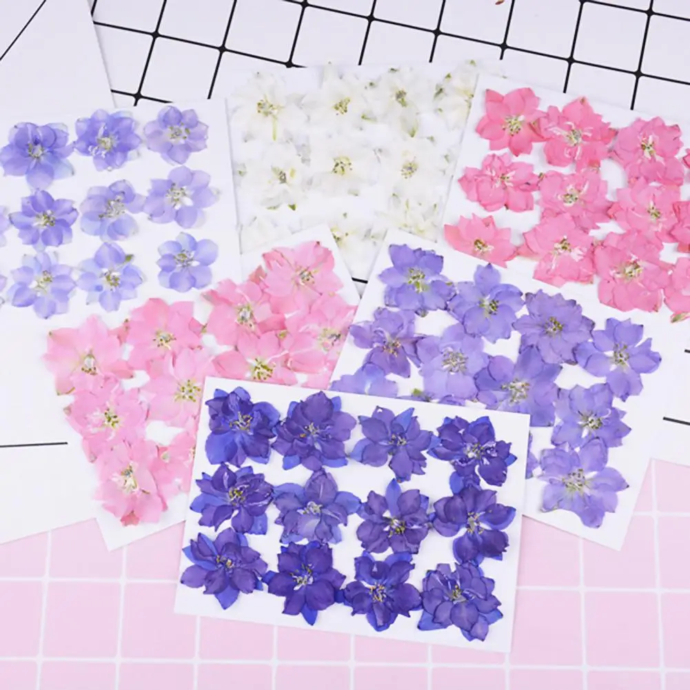 12Pcs Dried Flowers Epoxy Resin DIY Creation Dried Pressed Flowers DIY Jewelry Mobile Phone Shell Flower Sticker Nail Art