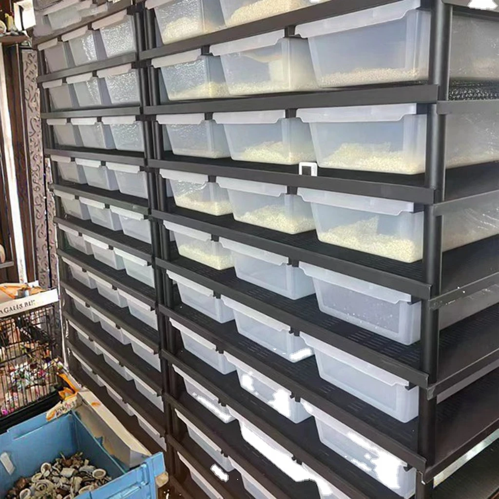 

Customized size Customization Heated Reptiles Accessories Snake Rack System Plastic pp Breeding Box Snake Rack Tubs