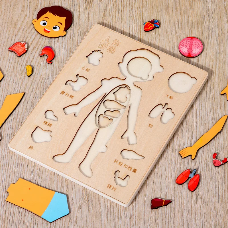 Corps leone nitive conseil Montessori pour garçon et fille, apprentissage précoce, corps orgue, puzzles pour enfants, puzzle multicouche, jouets en bois