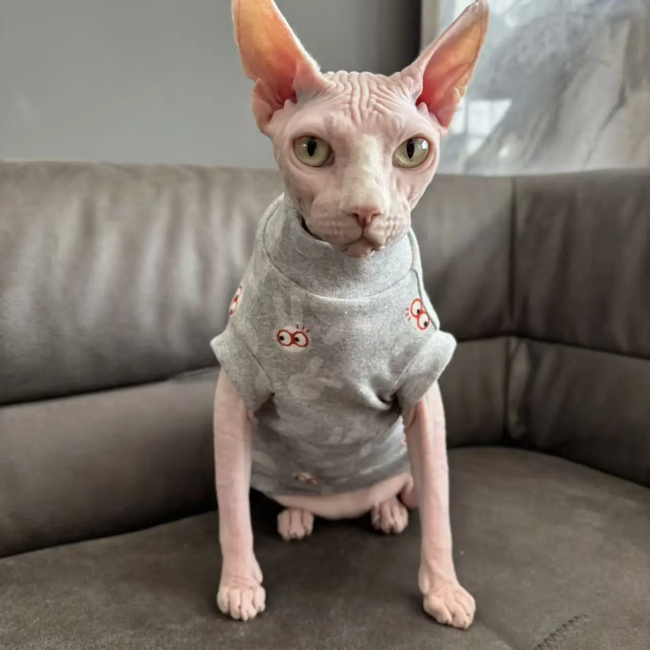 Short Sleeves Pet Cats Grey T‑Shirt in Spring Hairless Cat Soft 2-legged Brown Cartoon Print Pet Tee Warm Home Wear Cat Clothes