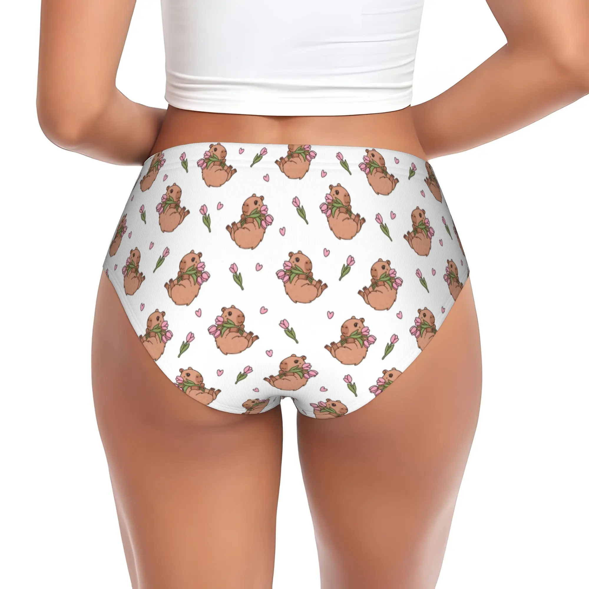 Custom Women Funny Capybara Panties Underwear Female Comfort  Briefs Underpants