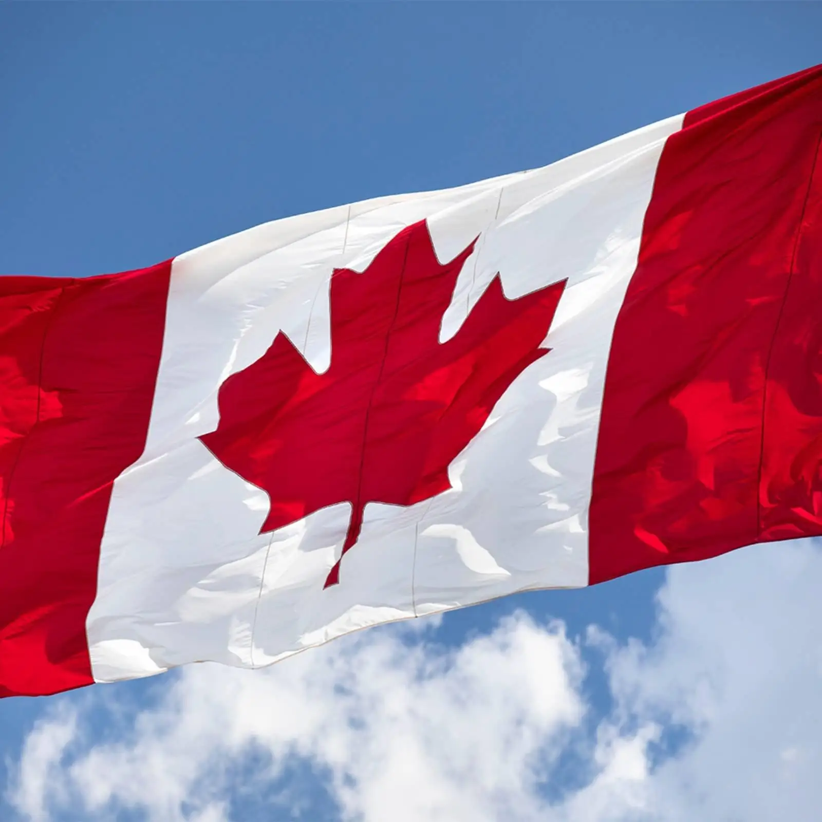 Red White Canada Banner 90x150cm with Metal Eyelets for Balcony Wall Flagpole Display