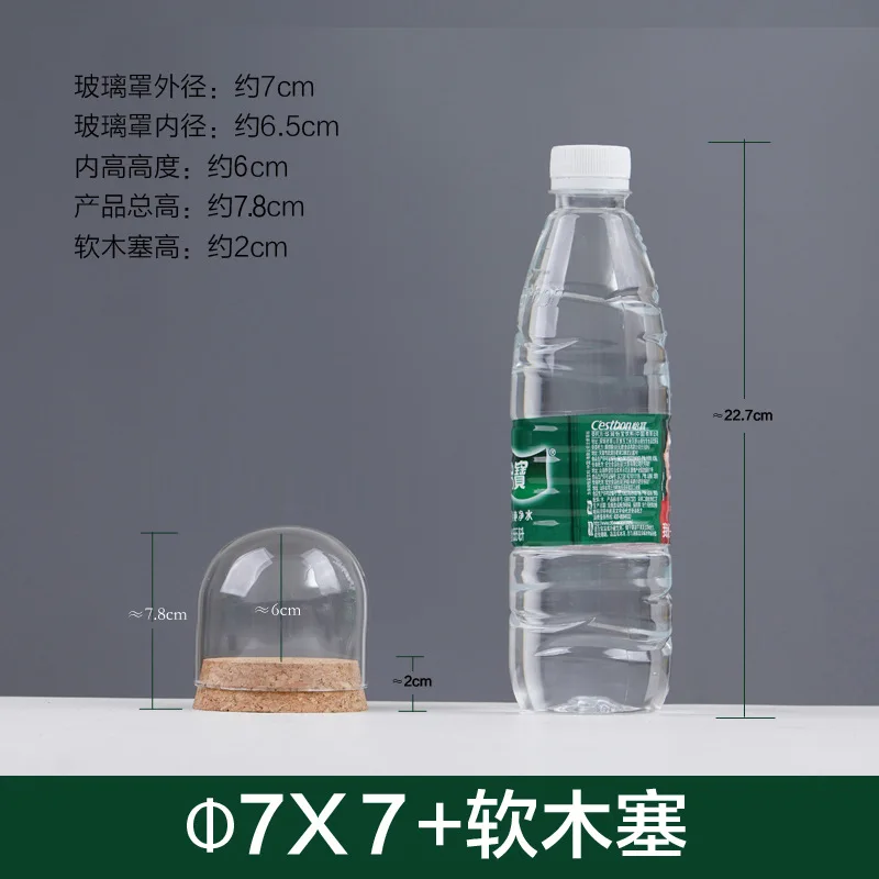 6sets/pack 7*7cm 7*8cm 7*10cm 7*12cm 7*18cm Small Size Transparent Glass Dome Decoration Dry Flower Bottle Cork Base Tube Cover