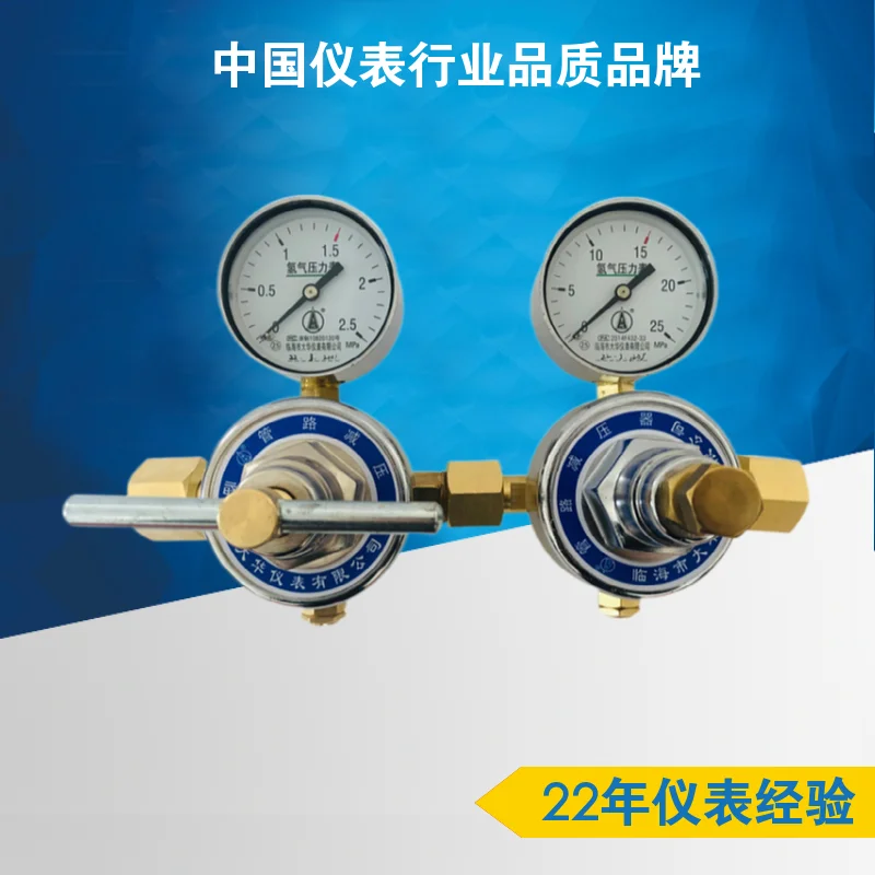 YQQ-11 Pressure Reducing Device All Copper Pressure Reducing Valve Gas Cylinder Pipeline Pressure Stabilizing Precision Valve