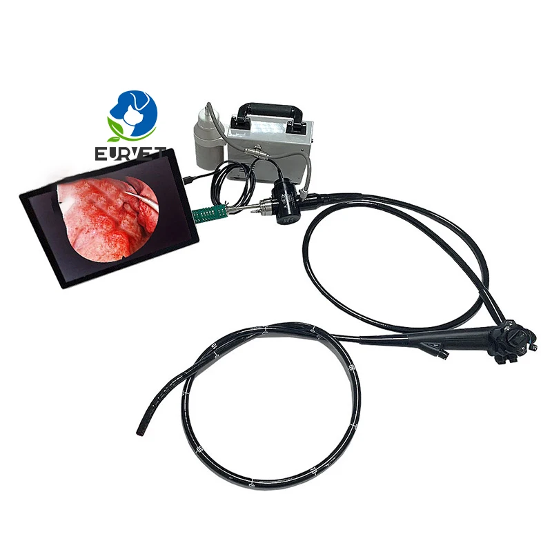 Veterinary Endoscopy Equipment USB Flexible Gastro-colonoscope High Resolution Video Portable Gastroscope