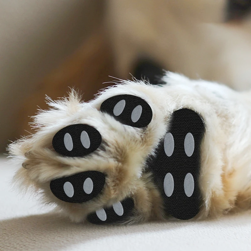 yZ[z҂̌p̊~߃pb`,fM̂ŠC,u[c,ʂ̃^Cv̌C,̃T|[g܂