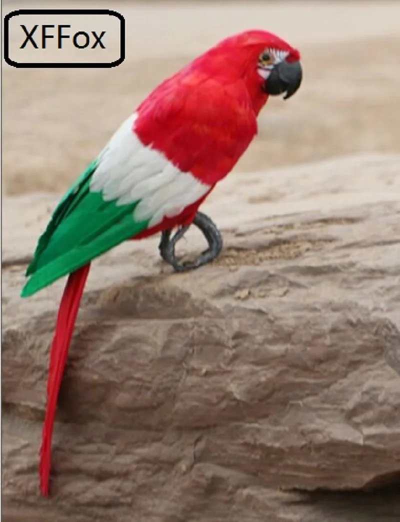 

Большая модель красного попугая в реальной жизни из пенопласта и перьев, имитация попугая, птицы, подарок около 48 см xf0188
