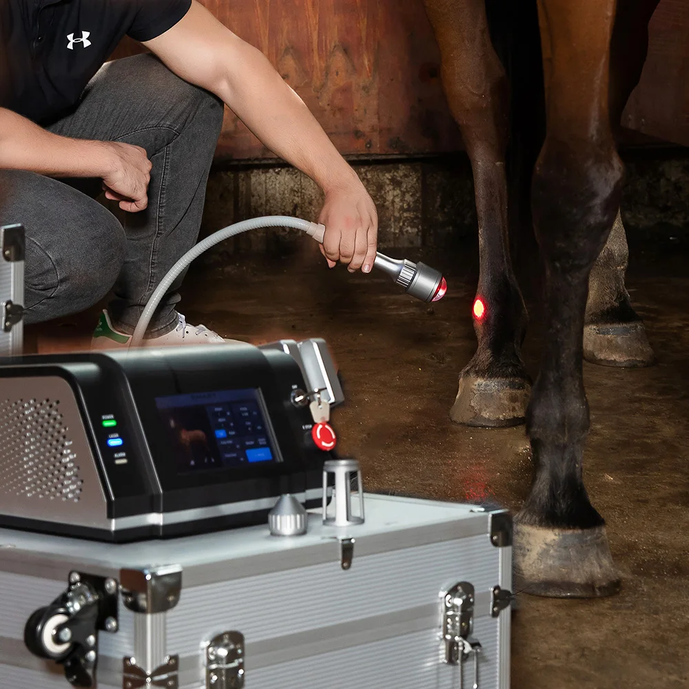 

Для животных, собак, кошек, лошадей, умная лазерная терапия, машина для хирургической реабилитации домашних животных