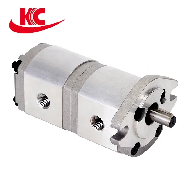 small oil transportation String gear pump mini double hydraulic pump manufacturer direct sales