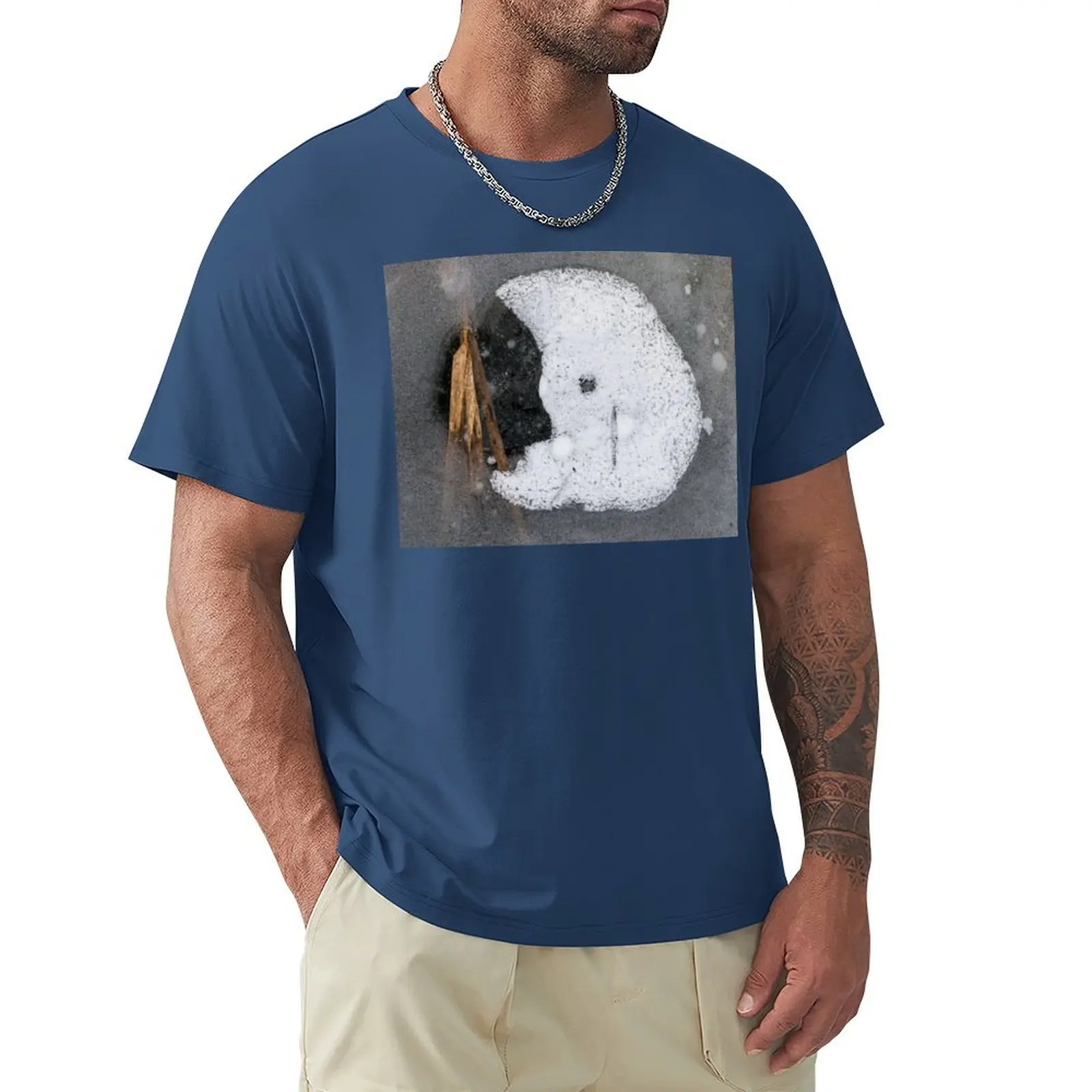Face in the Ice T-Shirt cute clothes oversized plain t shirts men