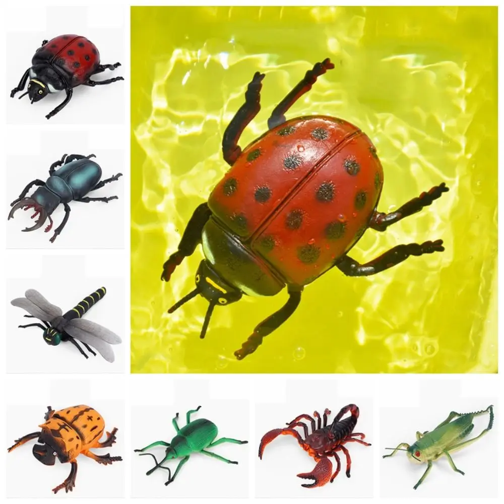 

Spiders Simulated Insect Model Educational Toy Grasshopper Simulation Simulation Wildlife Model PVC Cricket Children Gifts