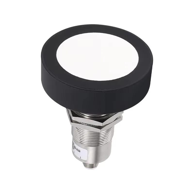 Attractive Price 300-6000mm Ultrasonic Ranging Sensor Long Measuring Front Distance Sensor