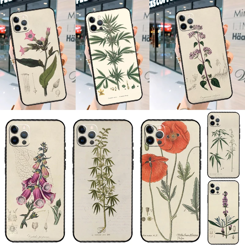 Botanical Drawings Flowers Case For Samsung Galaxy M20 M51 M31 M21 M35 M13 M14 M15 M16 M36 M56 M53 M32 M52 M55 M34 M54