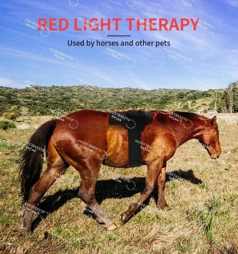 Equine Infrared Therapy Mat 660nm 850nm Red Light Therapy Pad for Pain Relief Muscle Recovery Fits All Pets