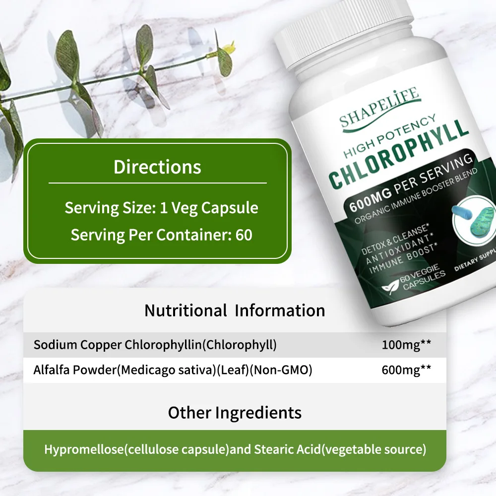 High Potency Chlorophyll Capsules 600mg - For Women & Men Highly Bioavailable Supplement For Energy, Immunity