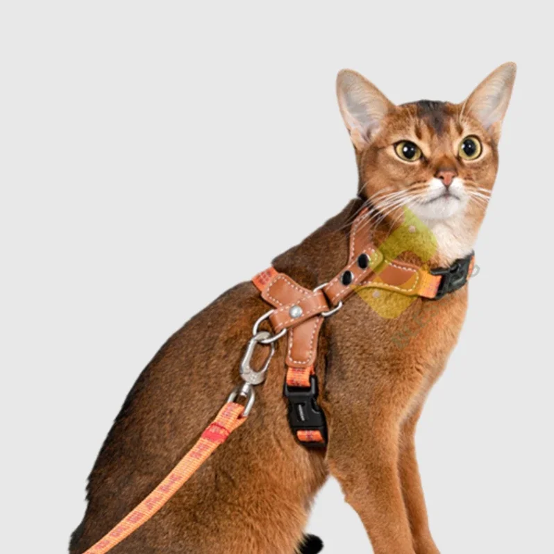 Cat Harness Reflective I-Shape Anti-Break Adjustable Cat Harness And Leash Set Pet Harnesses