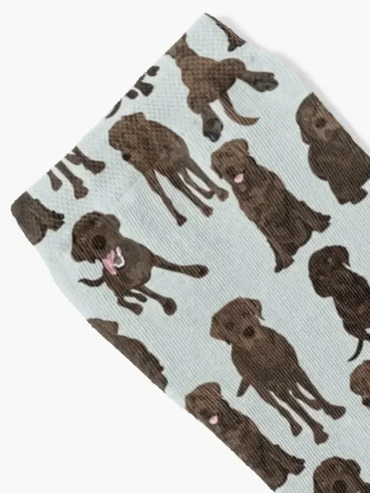 Chocolate Labrador Socks snow set Socks Women's Men's