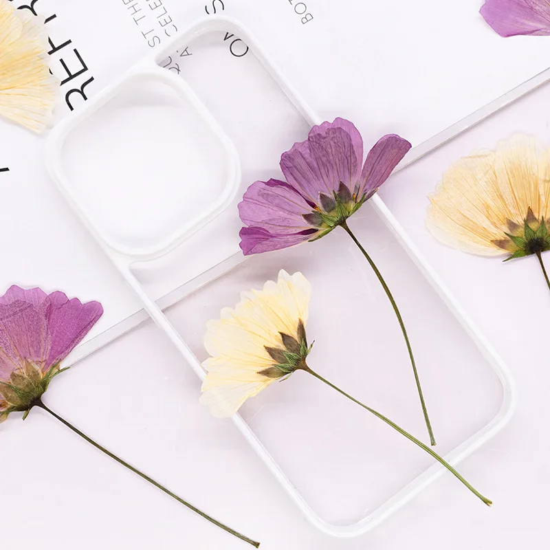 12 Stück, gepresste Gesang-Blume, echtes Trockenblumen-Zubehör für DIY-Lesezeichen, Gesichtsdekoration und handgefertigte Tropfkleber-Telefonhülle, Fotorahmen – Detail 6