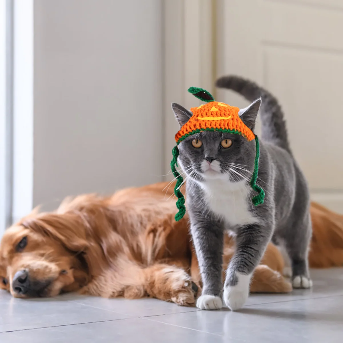

1Pcs Pumpkin Hat Pet Costume Halloween Hat Exquisite Stylish Premium Material Comfortable Soft Adorable Delightful Handmade