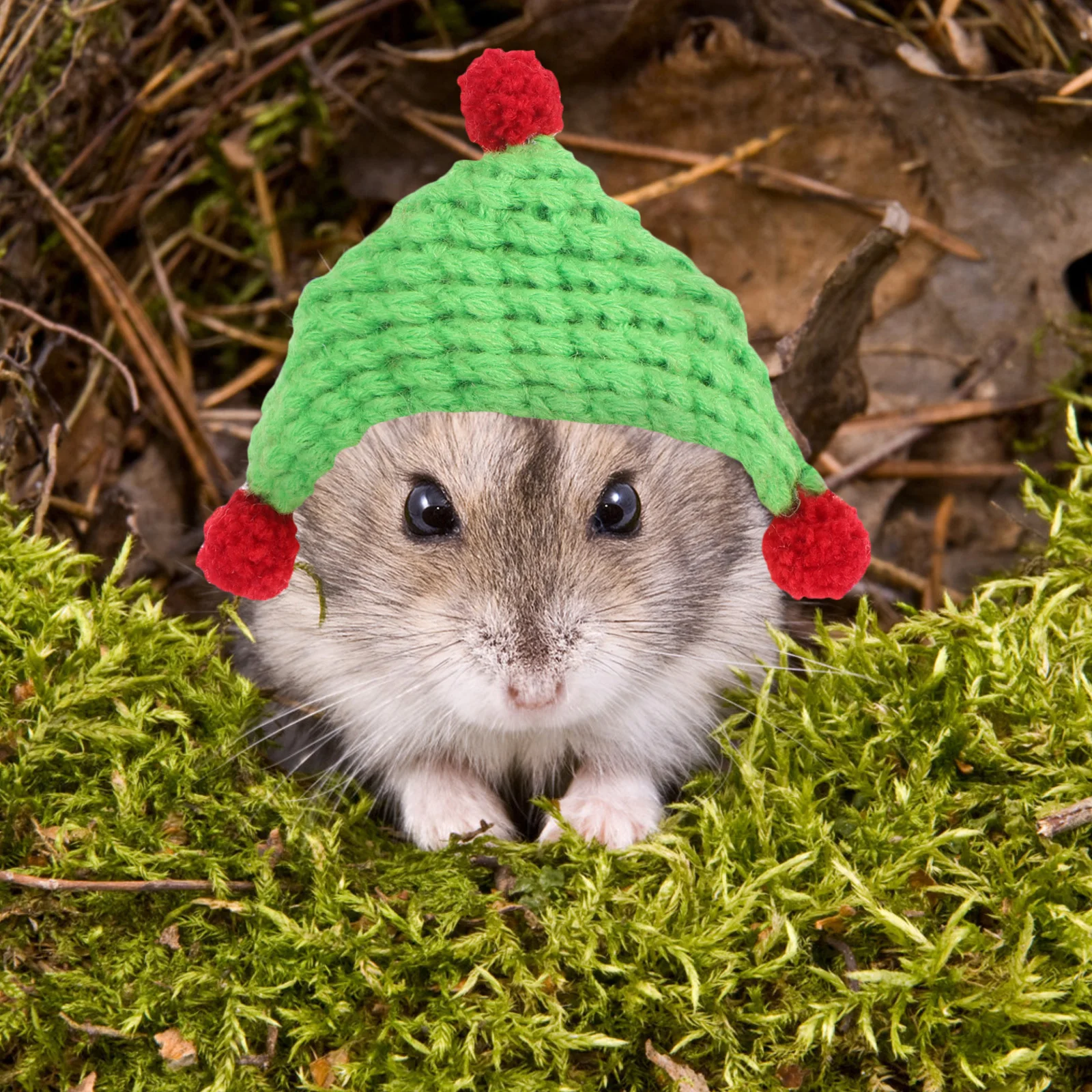 

Cute Knitted Guinea Pig Hat for Small Animals Soft Triangular Pet Cap Ideal Photo Session Accessory Holiday Party Decoration