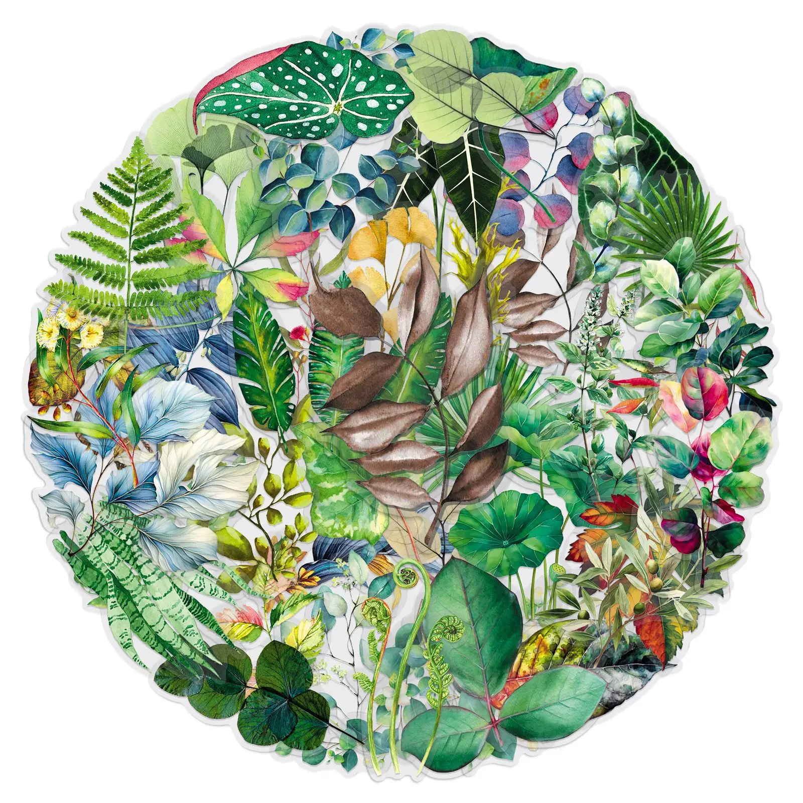 

50PCS Transparent Green Leaves Sticker Waterproof Graffiti Decal Personality Creative Decoration DIY Stationery Box Water Cup