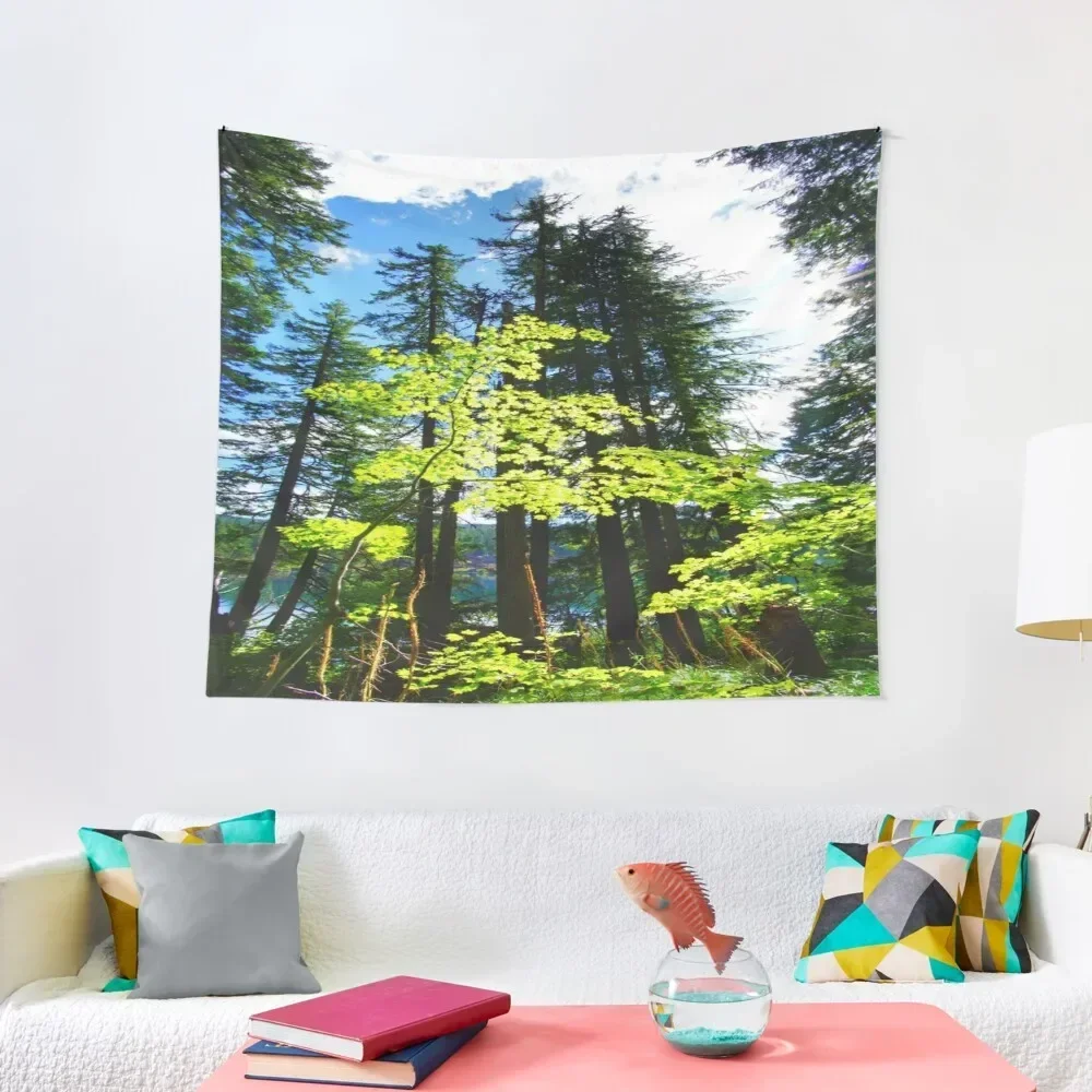 

Lost in the Trees Tapestry Things To Decorate The Room Wall Coverings Tapestry