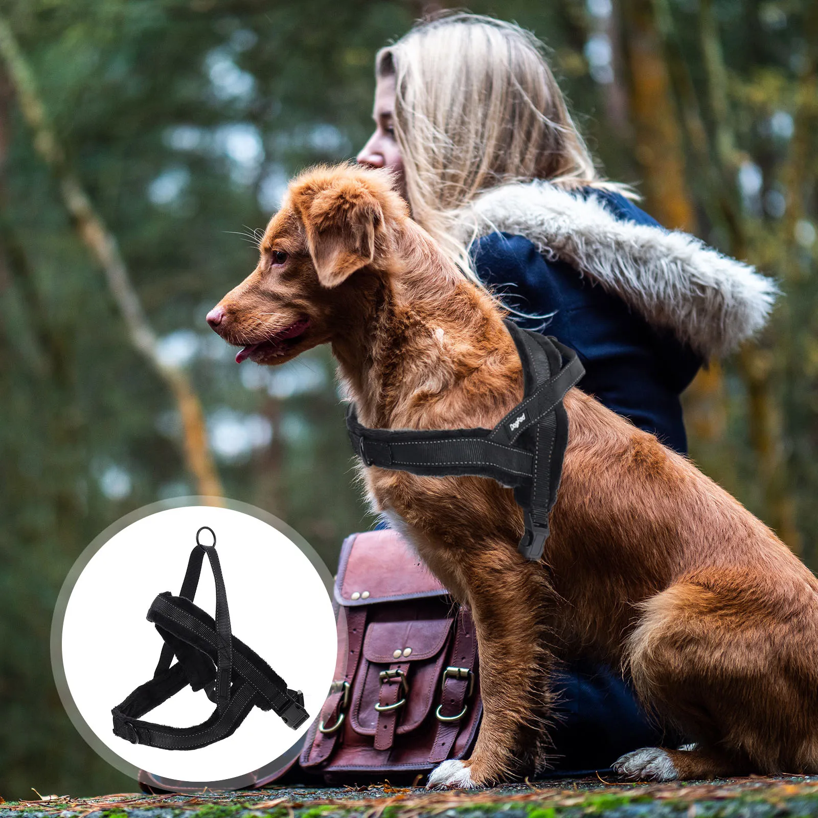

Belt Comfortable Lining Dog Strap Pet Supplies Xxx Nylon Large Dogs