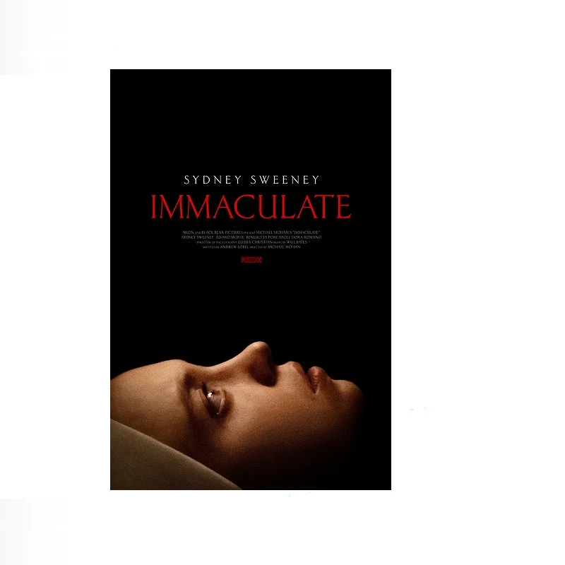 Immaculate Movie,Art Picture Print Silk Poster Home Wall Decor