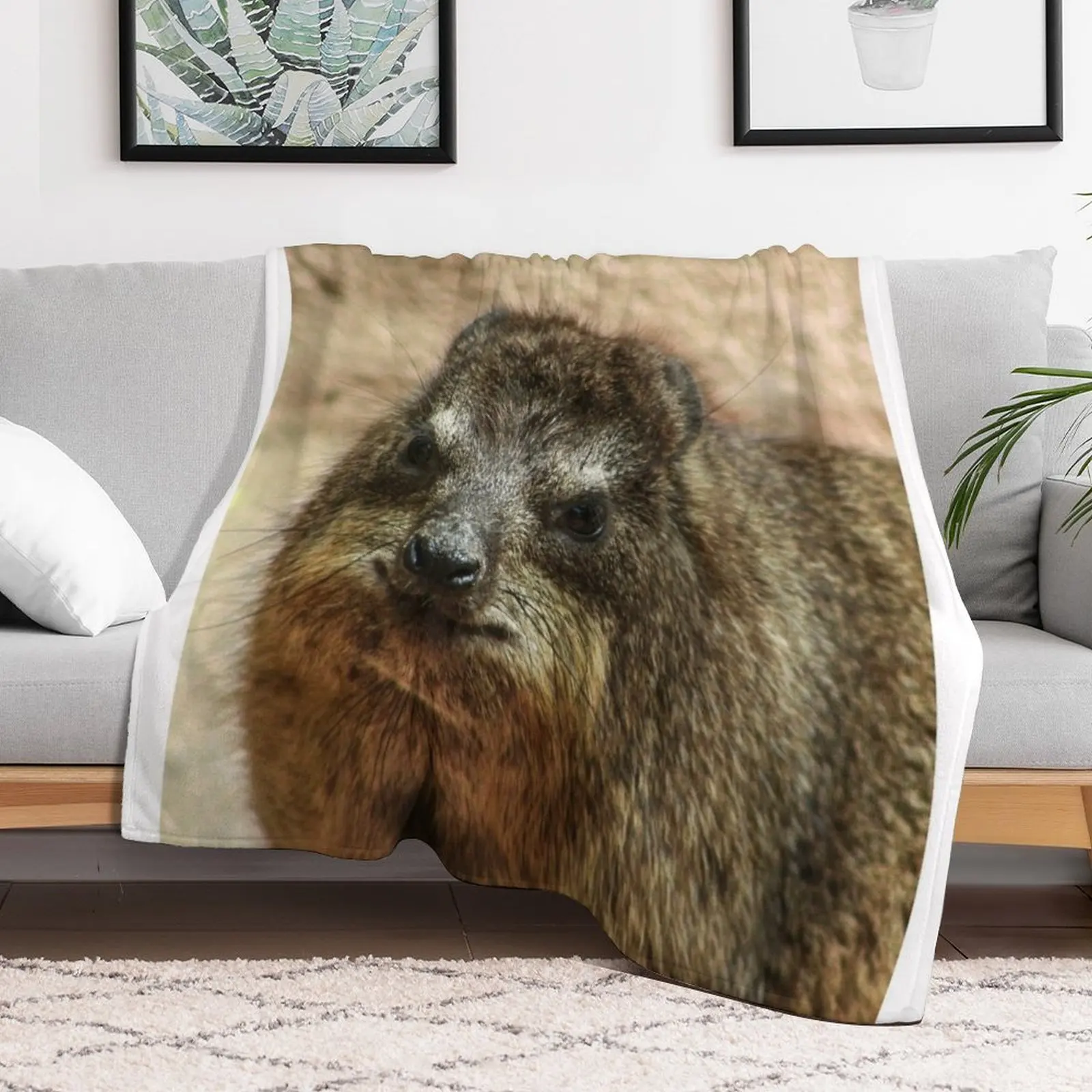 Close up of rock hyrax Throw Blanket Luxury for winter Multi-Purpose Thermal Blankets