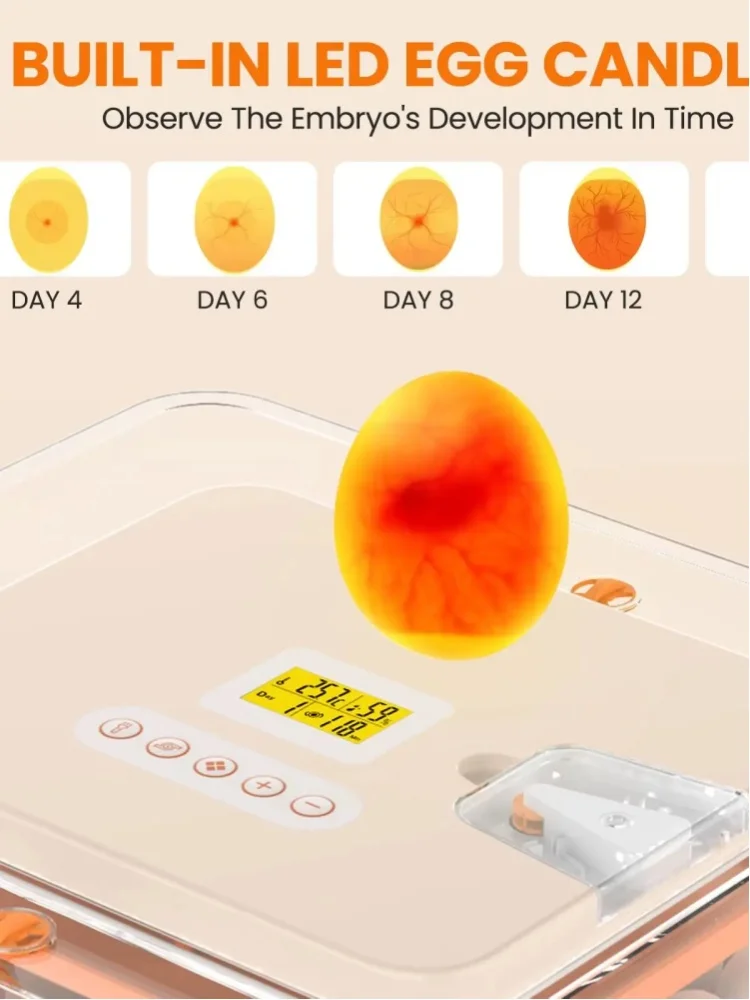 56-Eier-Automatik-Brutmaschine mit Dual-Stromversorgung, digitaler Feuchtigkeitsregelung, automatischer Eierwendfunktion, LED-Brutlicht, 360° °   Sichtbare Brutmaschine für Hühner-, Enten-, Gänse-,