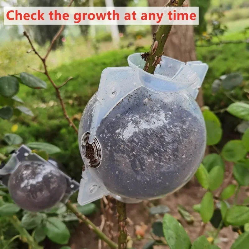 5pcs Plant Rooting Ball Grafting Rooting Growing Box Breeding Plant Root Growing Box For Garden Supplies 5/8cm In Diameter.