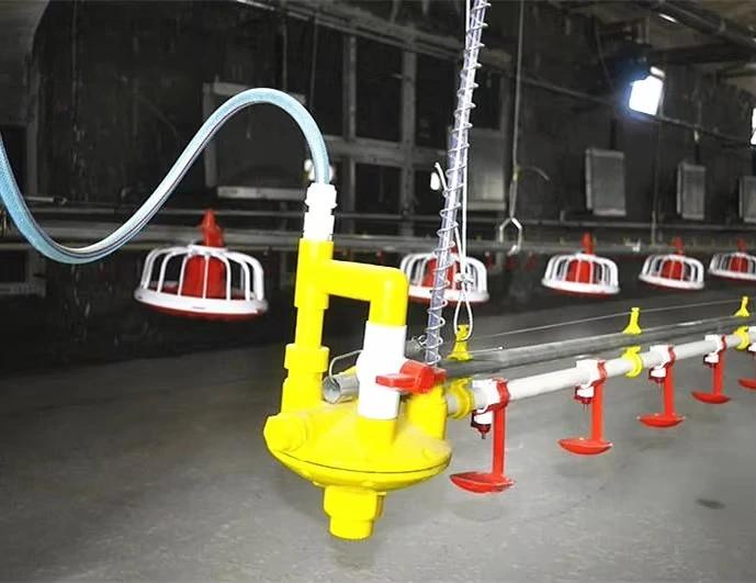 Poultry Farm Animal Feeders Automatic Feeding Line Poultry  Equipments Line Feeding Chicken Feeder