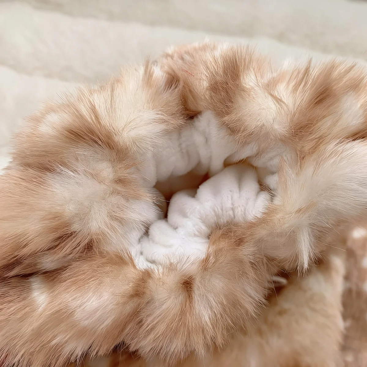 Christmas Gift Warm Women's Calf Cover Sweet Cool Deer Pattern Plush Leg Warmers Plush Jk College Style Student Thigh High Socks