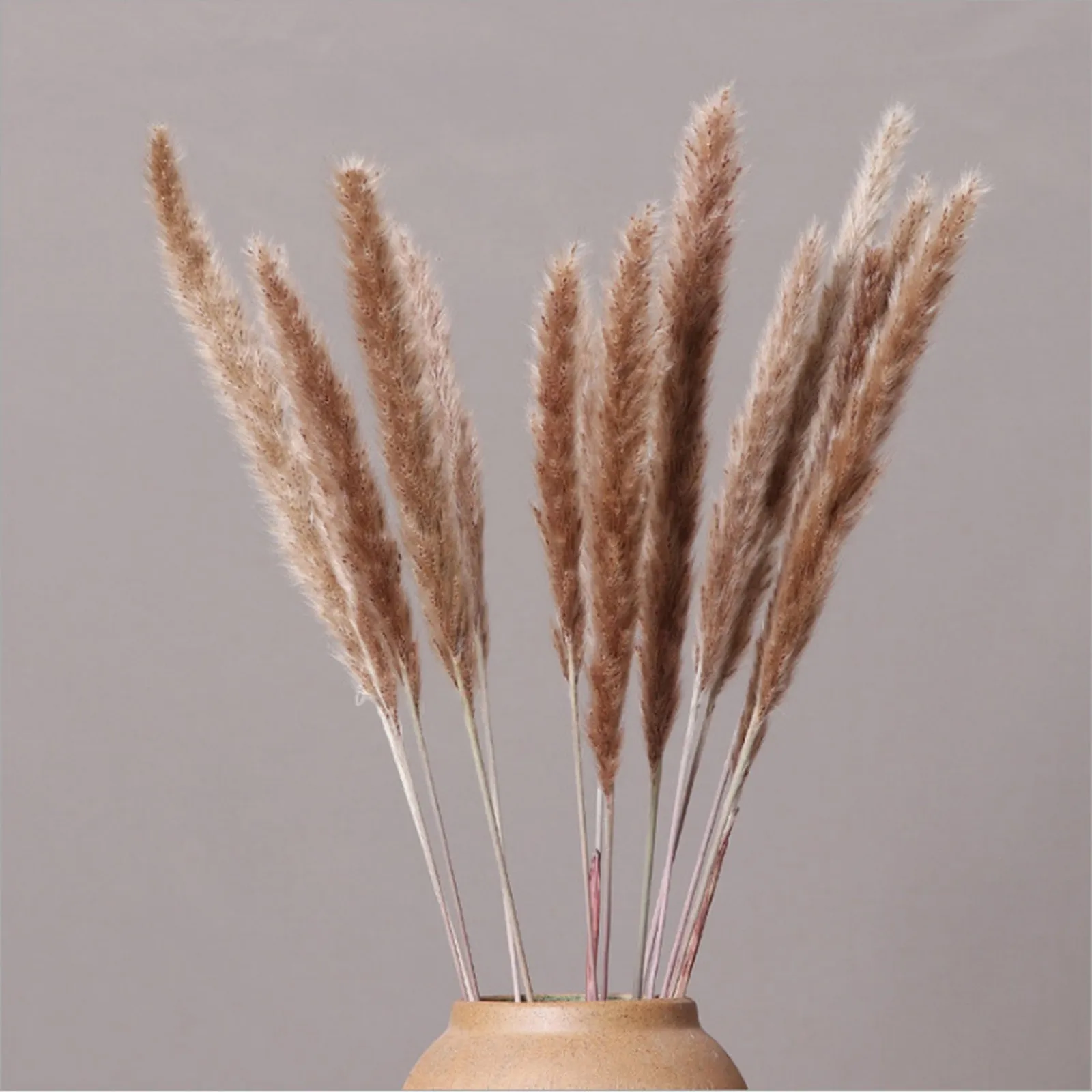 

Artificial Natural Dried Pampas Grass Flower Bunch Fluffy Tails Grass Party Decoration Colorful Dried Flowers Home Decorations