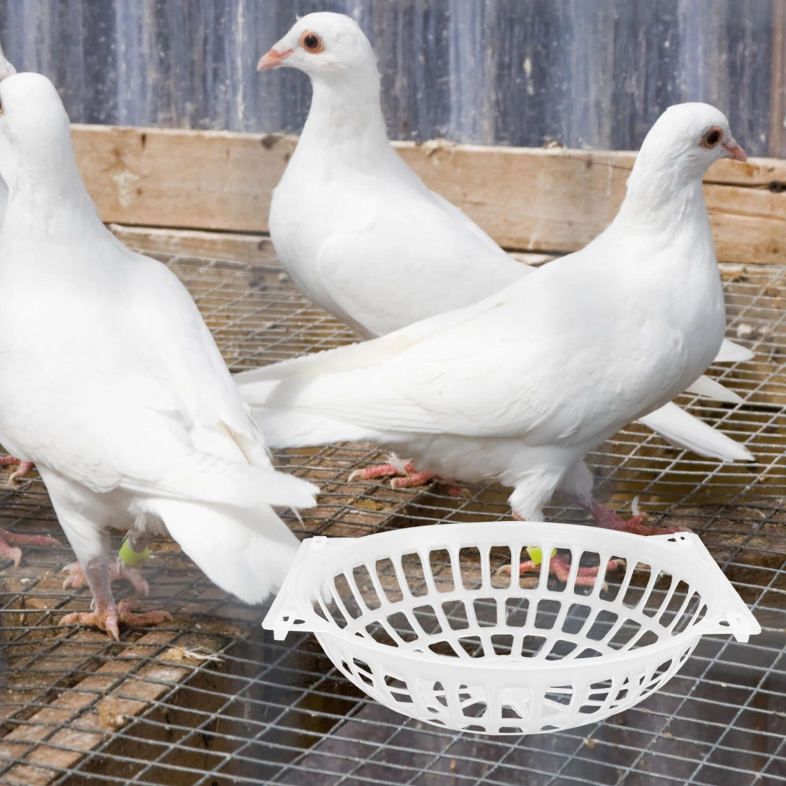 

10pcs Plastic Bird Nest Box Durable Washable For Parrot Pigeon Egg Breeding Small Mesh Bottom Pet Supplies Home