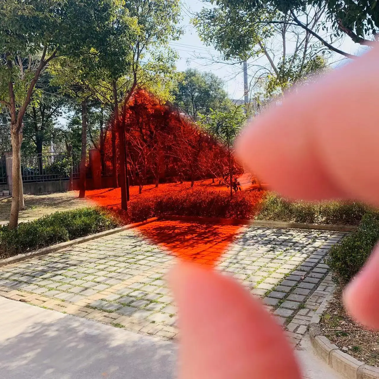 6Pcs Total Size 29x21x1mm 590nm Infrared IR Pass Red Filter Glass CB590 For Change Camera