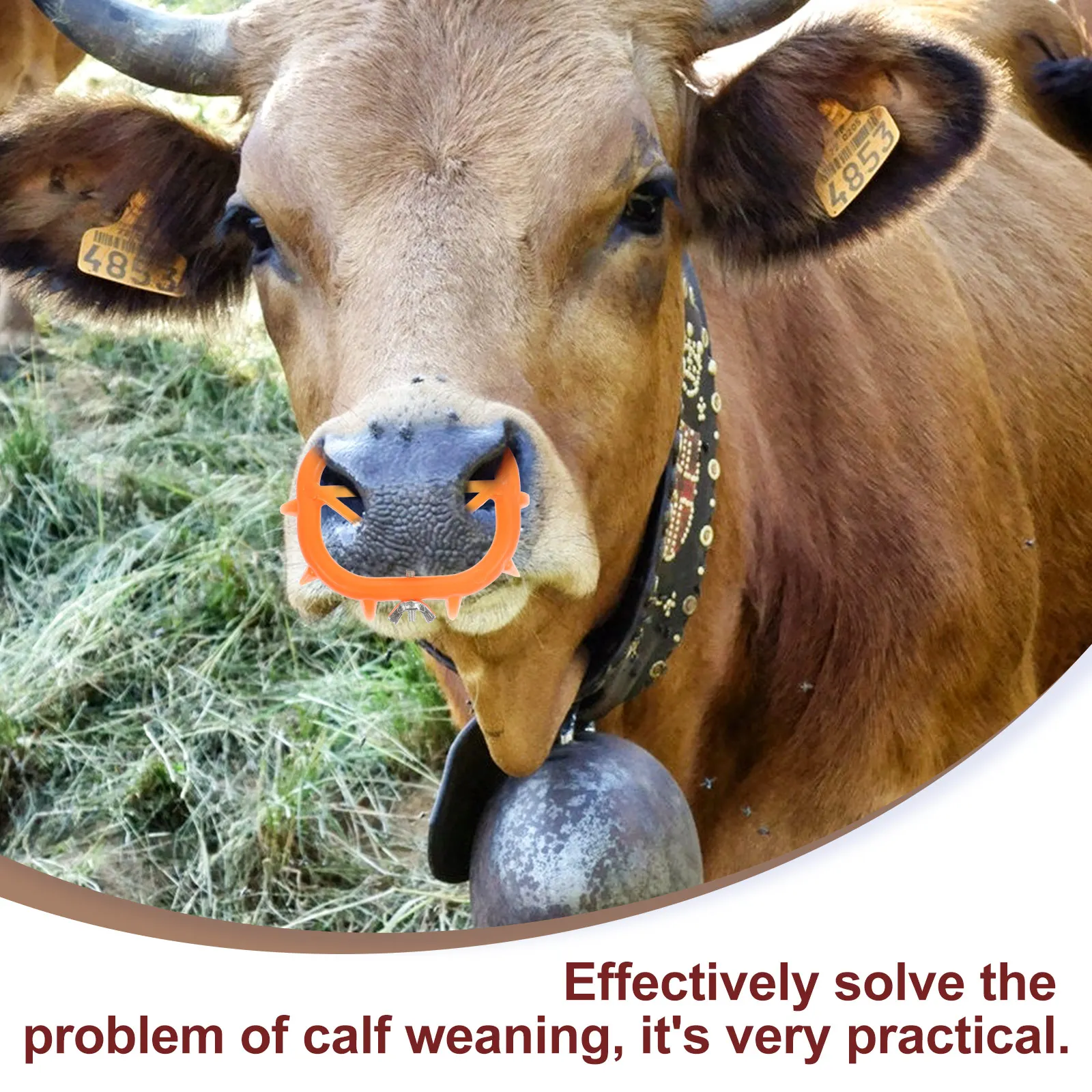 

Weaner Cow Nose Calf Weaning Ring Equipment Animal Opening Cattle Farming Tools Clip Cows