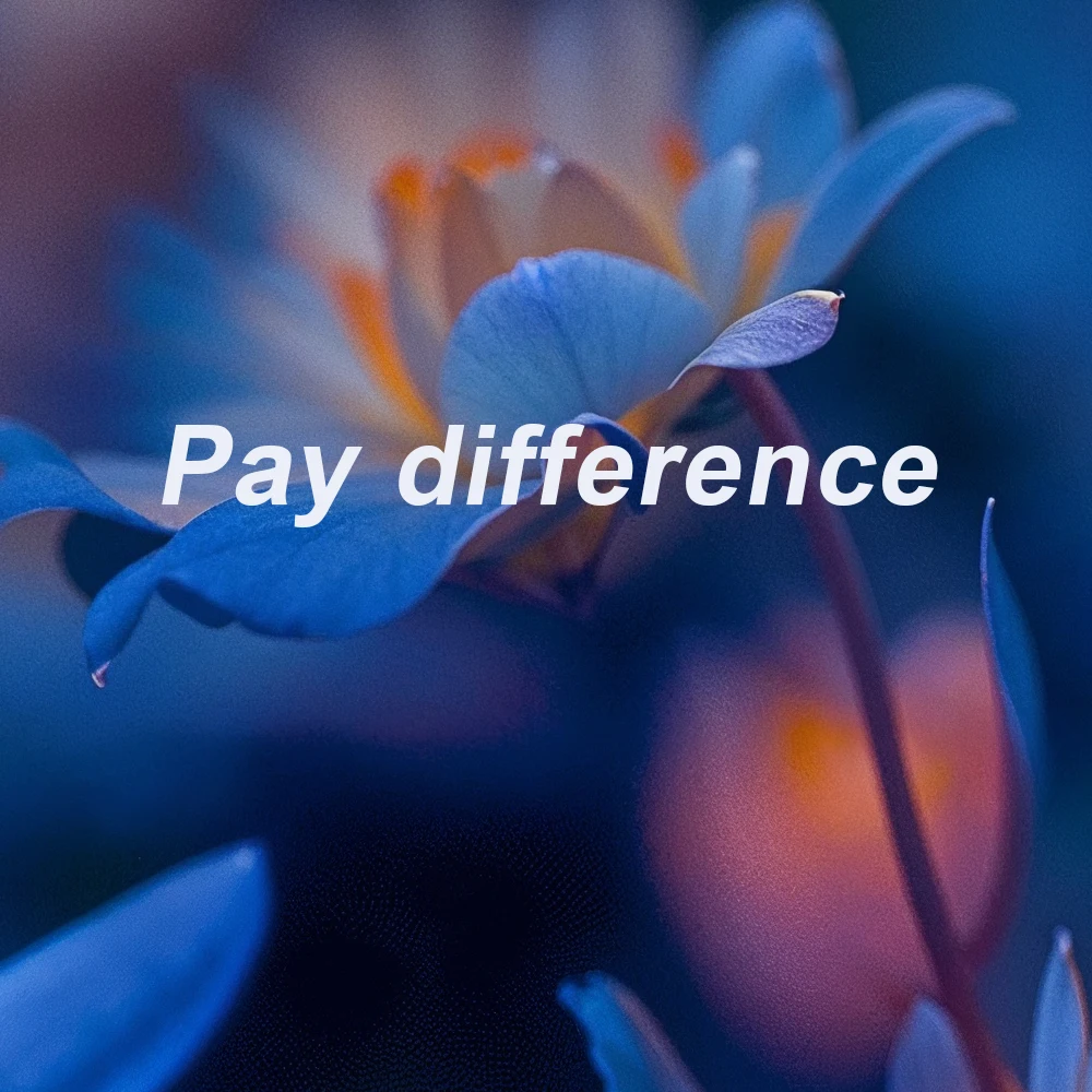 the-link-used-to-make-up-for-the-price-difference-does-not-have-logistics-information