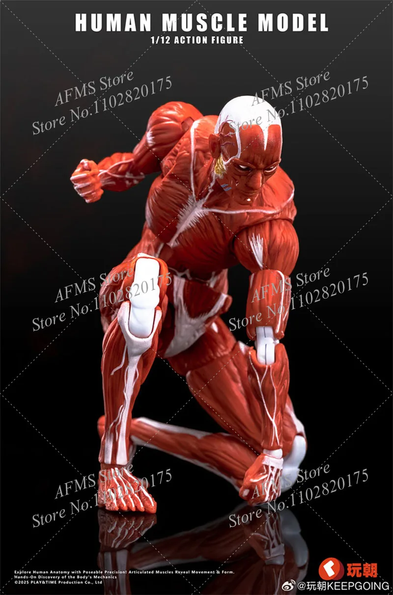 KEEPGOING Scala 1/12 Figura Da Collezione Modello Muscolare Umano 6 "Action Figure Soldato Modello di Scheletro Artista Medico Disegno Giocattoli