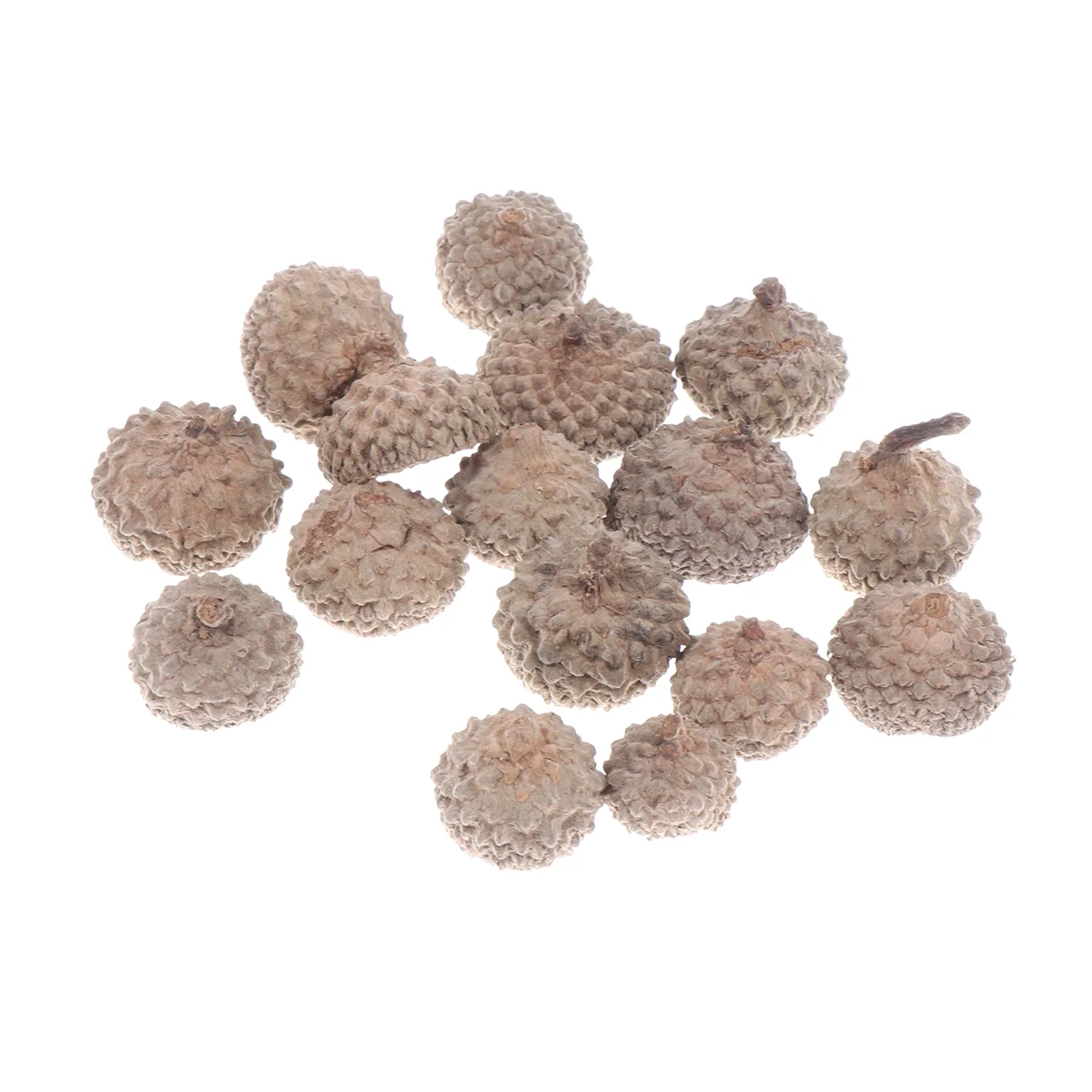 50PCS Natural Acorn Shell Decor Set Durable Eco Friendly for Christmas Autumn Crafts Wedding Party Hangings