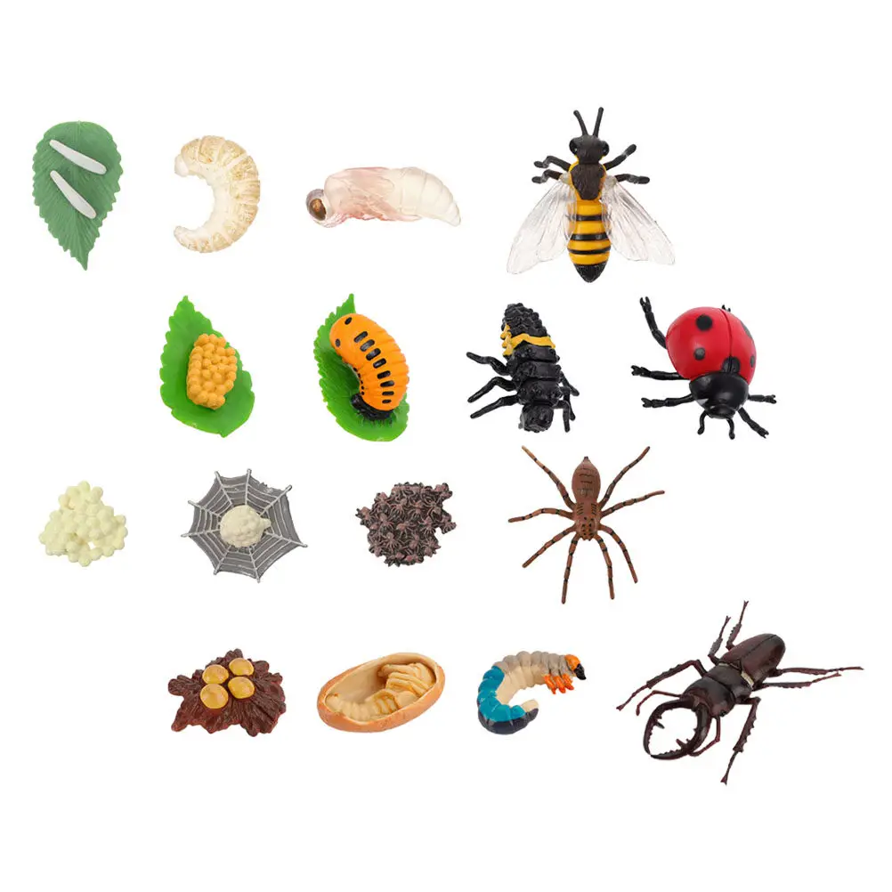 

4Sets Cognitive Growth Cycle Kits Butterflies Ladybug Antler Spider Education Playthings Kids Enlightenment Animals Display